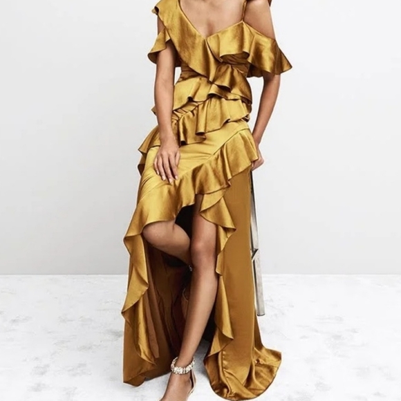 Amur Pearl gorgeous gown NWOT - Picture 3 of 13